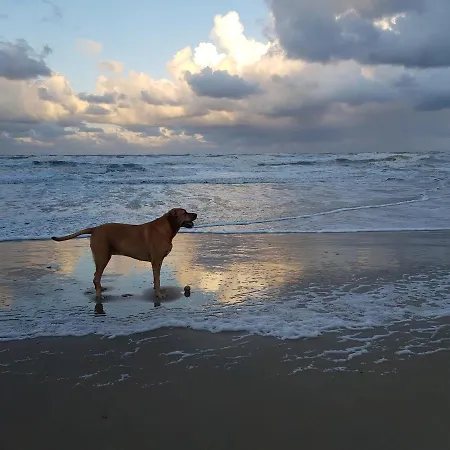 In De Bocht * Heiloo