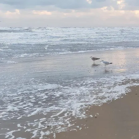 In De Bocht * Heiloo