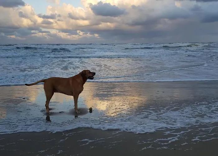 In De Bocht * Heiloo