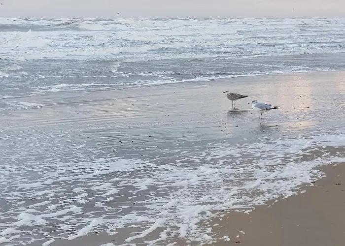 In De Bocht * Heiloo