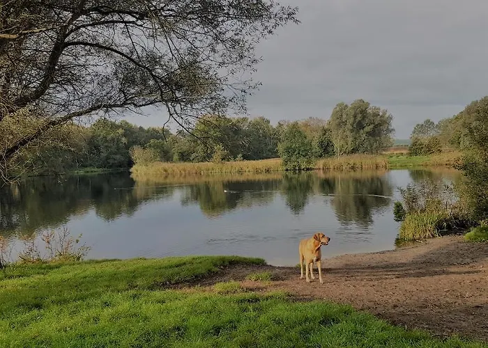 In De Bocht * Heiloo